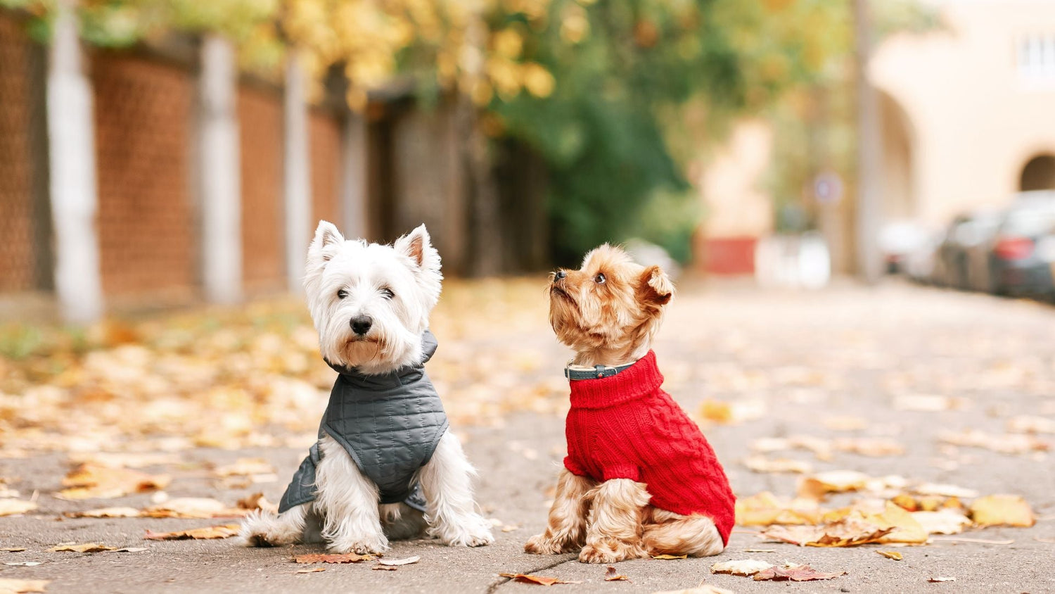 Sweaters and jackets