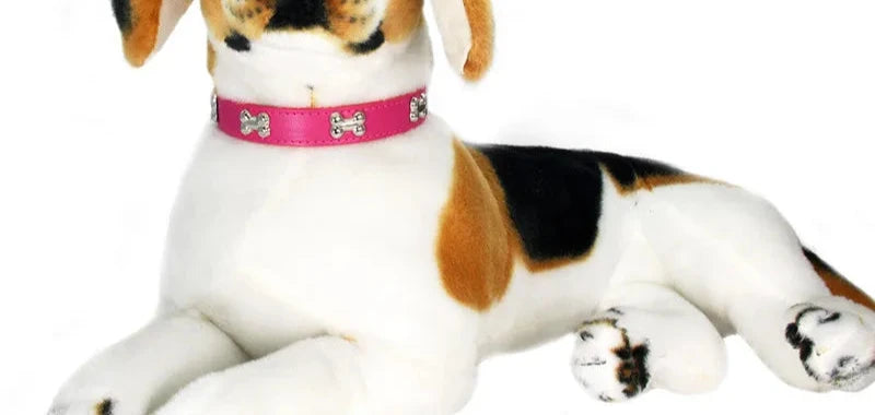 Leather durable cute collars