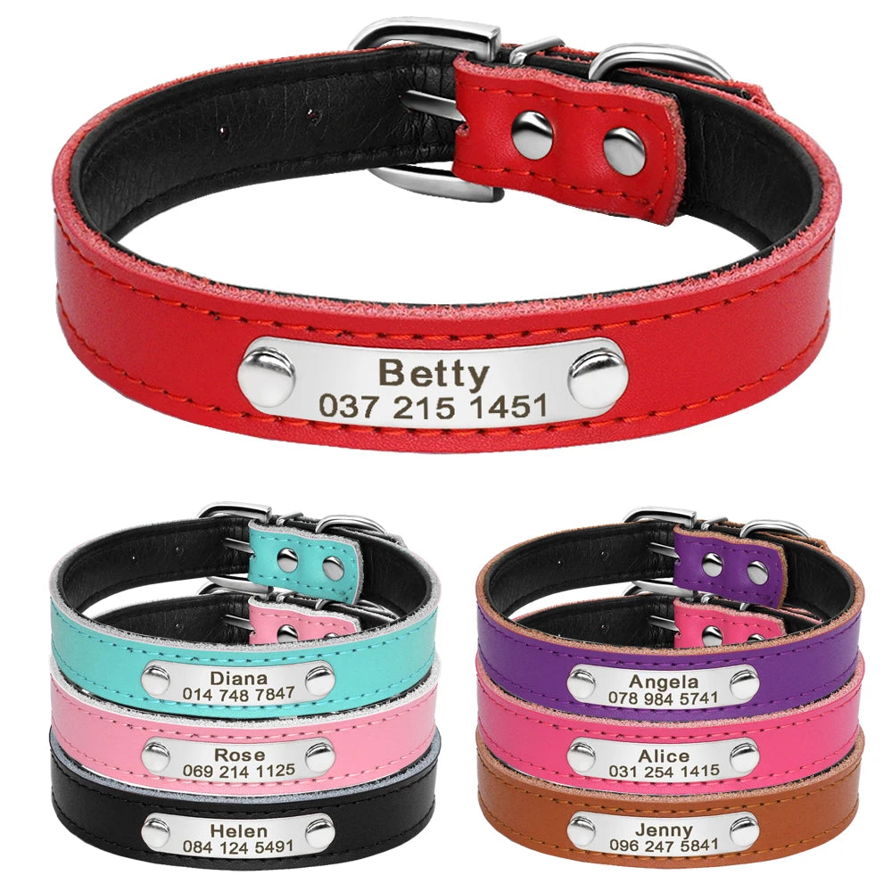 Personalized Leather Collars