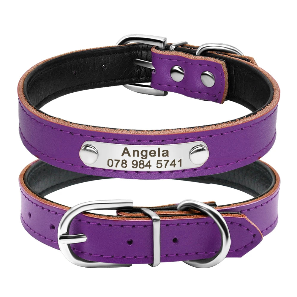 Personalized Leather Collars