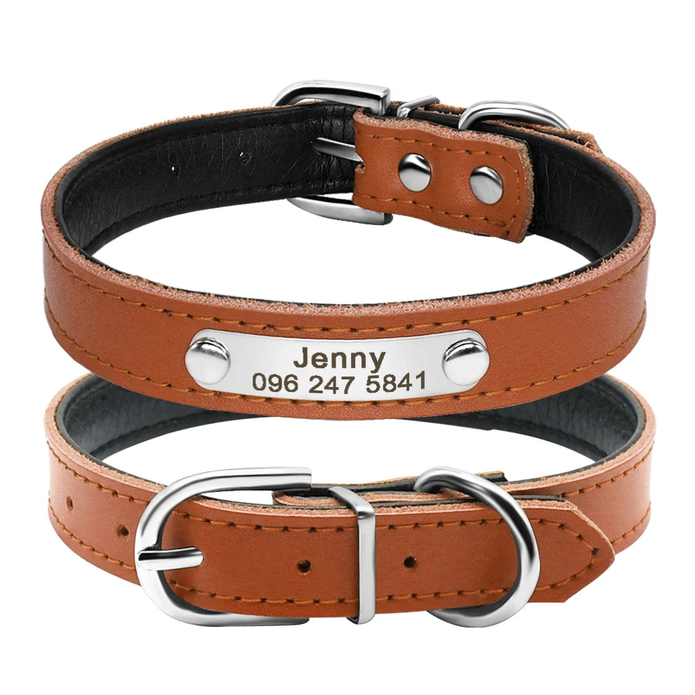 Personalized Leather Collars