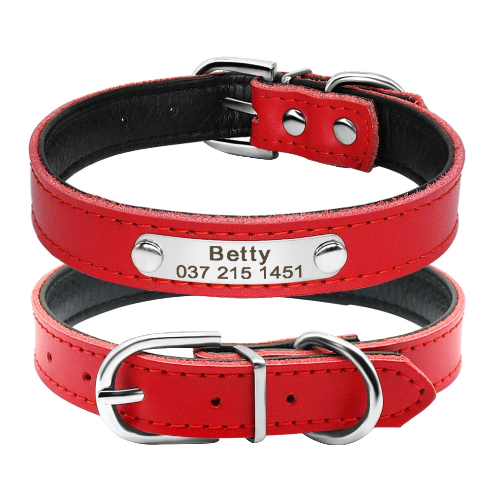 Personalized Leather Collars