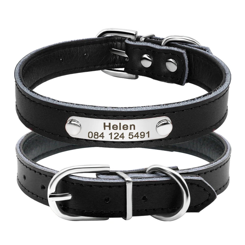 Personalized Leather Collars