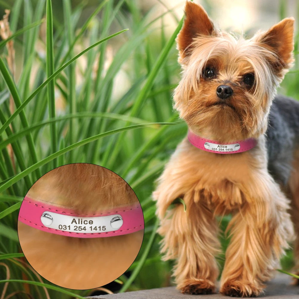 Personalized Leather Collars