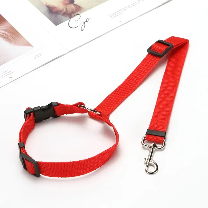 Adjustable safety belts