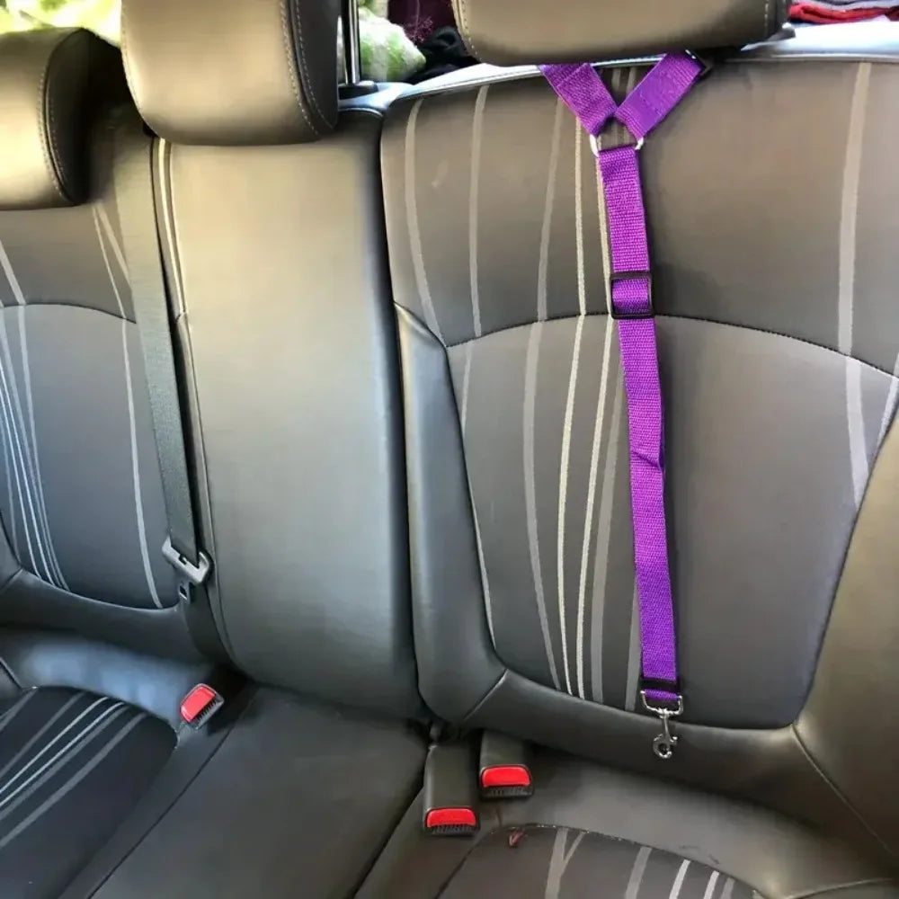 Adjustable safety belts